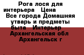 Рога лося для интерьера › Цена ­ 3 300 - Все города Домашняя утварь и предметы быта » Интерьер   . Архангельская обл.,Архангельск г.